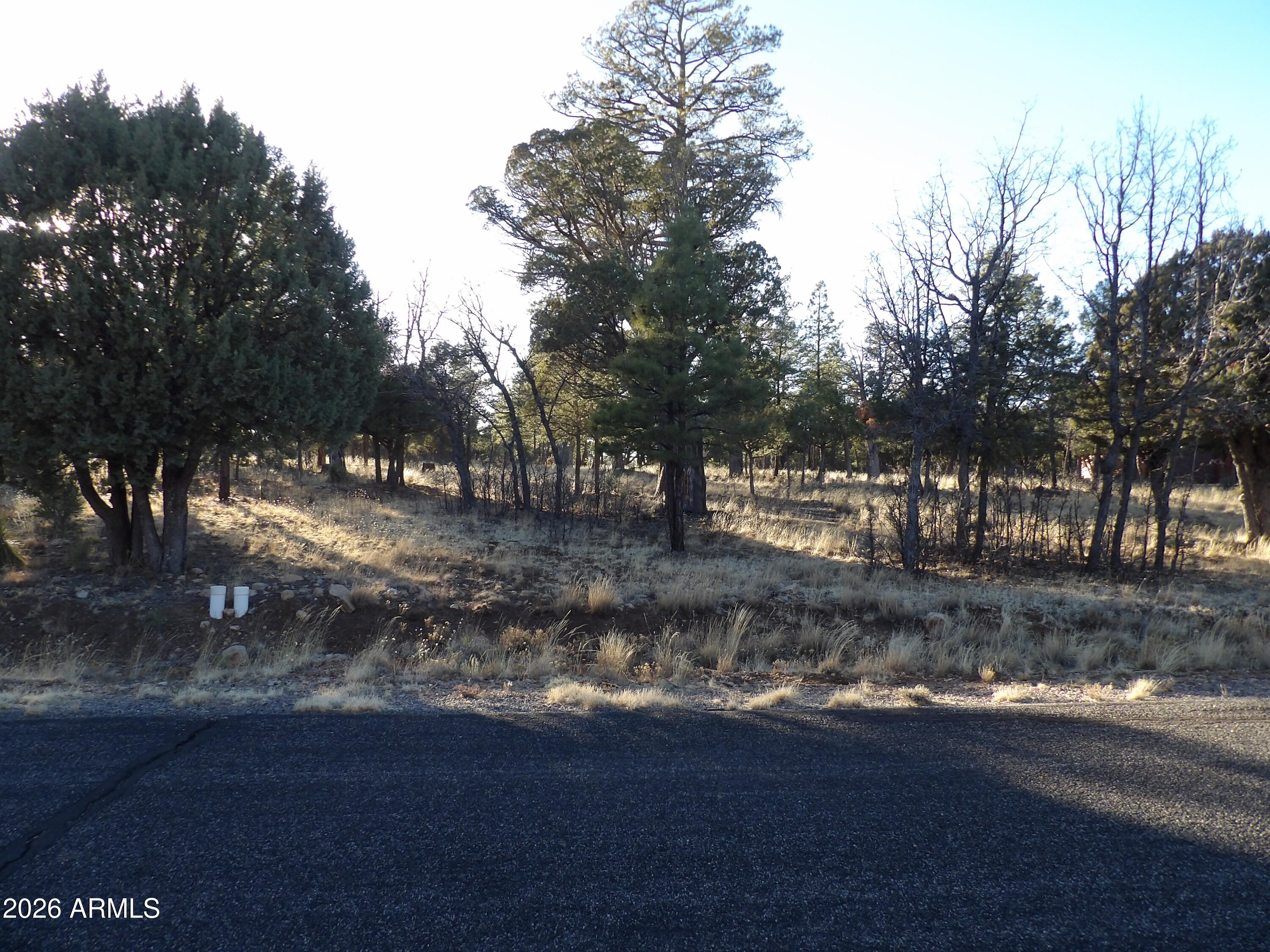 Just listed! $49, 500 in Tammaron Pines community. Happy Jack, Az.  Approx. 3/4 acre lot. Beautifully treed,Pinon pines & Gamble's oak trees. The Ntl Forest is nearby. HOA is $122 per year. Waer, electricity and a community leachfield system for your alternatic septic system to connect to. Roads are paved & maintained by the county. Take a drive to Happy Jack and tour this lot. Sign on the property.