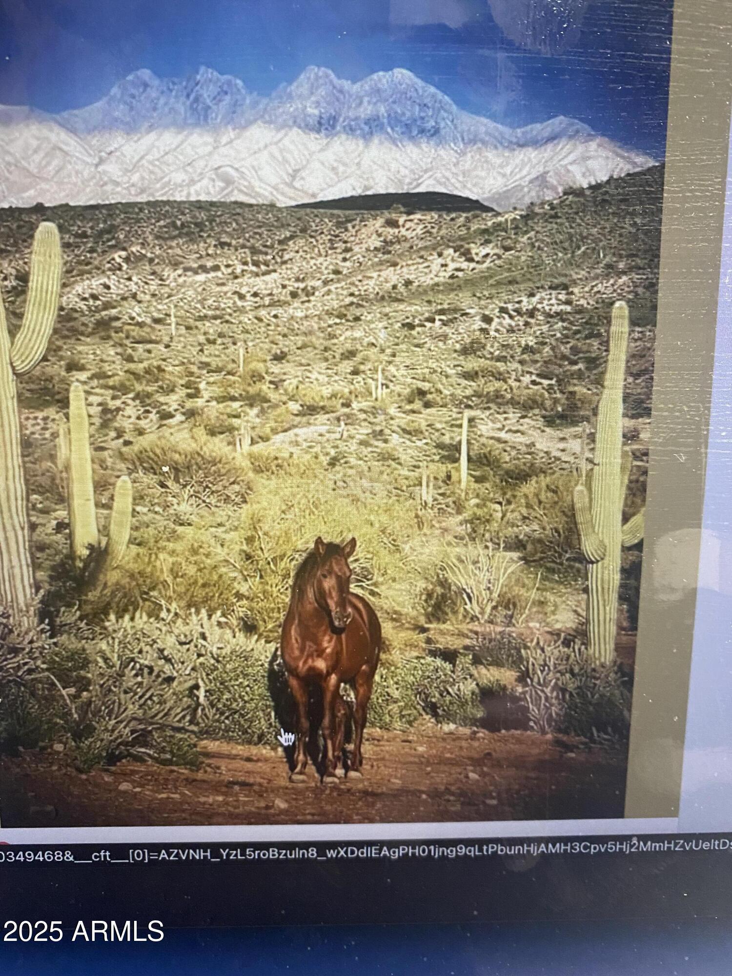 PLEASANT COUNTRY RANCHES - Land