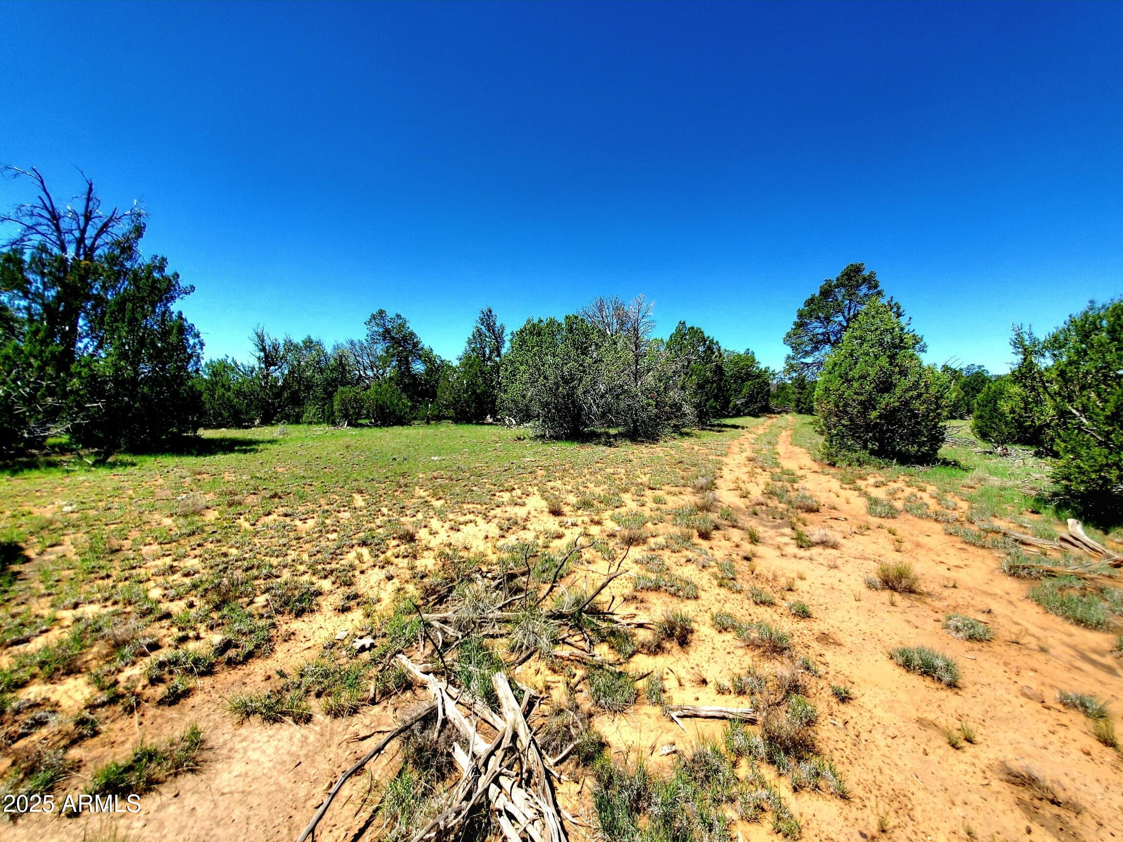 Beautiful 5.09+/- Acre lot close to National Forest in gorgeous Mogollon Ranch, Happy Jack! This level site built homes only area where lots are minimum 5 acres and horses are welcome is perfect for full or part time ownership. Paved easy road access in this beautiful Mogollon Ranch HOA area, co-op community wells, utilities available. Septic systems are required, minimum 1500sq.ft. build, ''confirm with CCR's & Architectural committee''. This is a Must See lot in a Must See area! Seller spent $15k on firewising per HOA 2026 requirements.