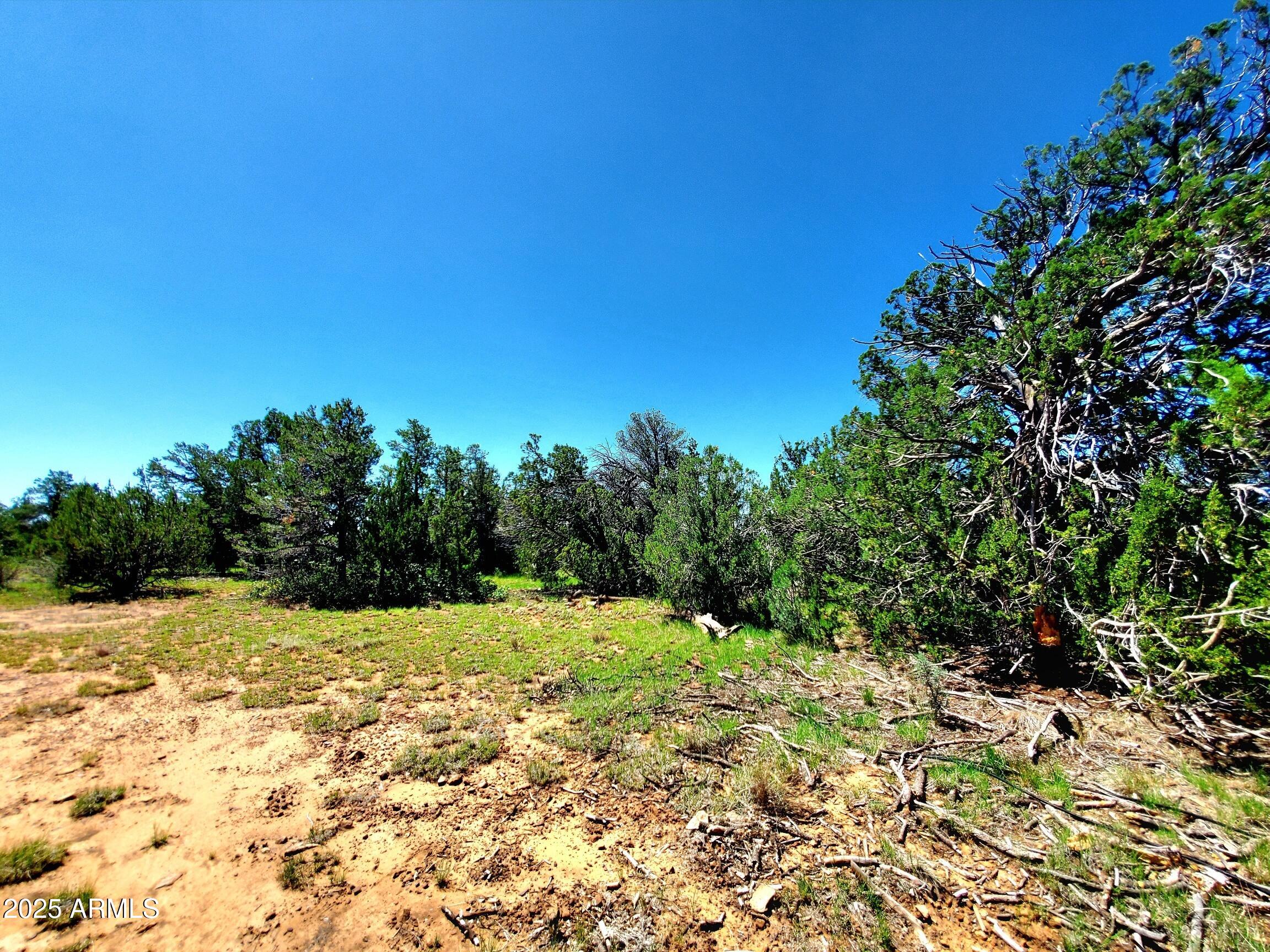 MOGOLLON RANCH 2 - Land