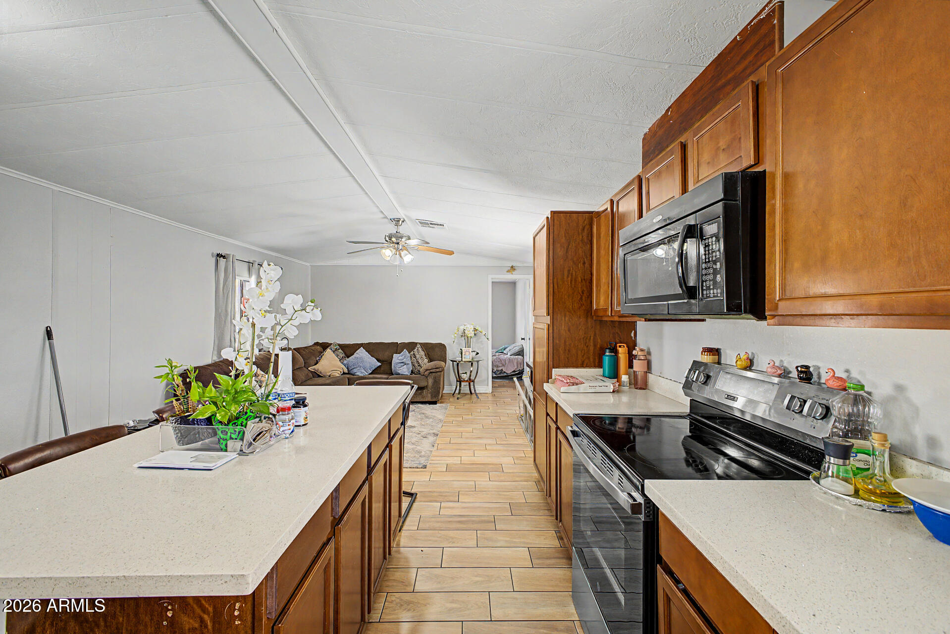CHAPARRAL VILLAGE - Residential