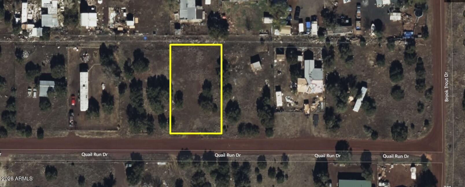 This .26 acre lot (81 X 141.25) is convenient to highways and White Mountain Lake. Enjoy all four seasons, trees, jet skiing, boating, sandy beaches and swimming at the lake. 25 minutes to Pinetop-Lakeside and one hour to Sunrise Ski Resort. Power and water close to property. Owner willing to finance with half down and crypto currency, silver or gold accepted towards purchase price.
