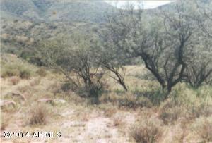 TUBAC FOOTHILLS RANCH UNIT 4 - Land