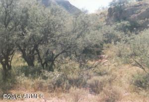 TUBAC FOOTHILLS RANCH UNIT 4 - Land