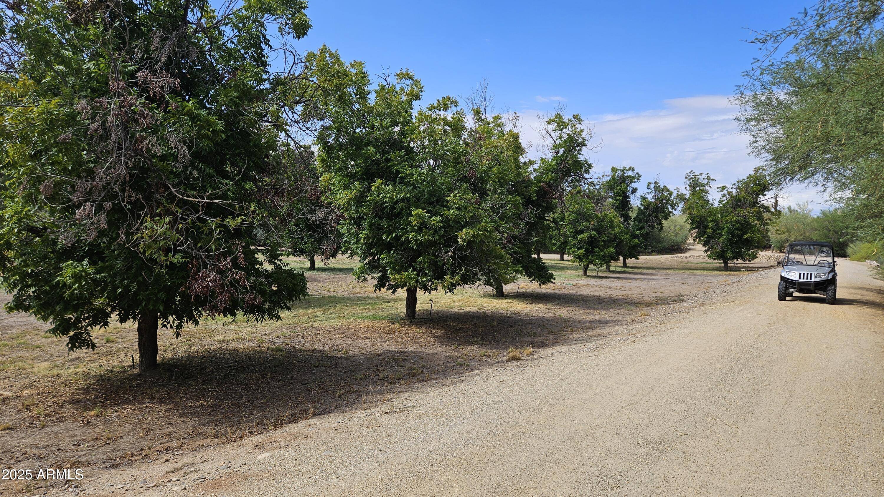 Lazy RC Ranch, Historic Brill Ranch on the Hassayampa River, Bordering the Nature Conservancy - Residential