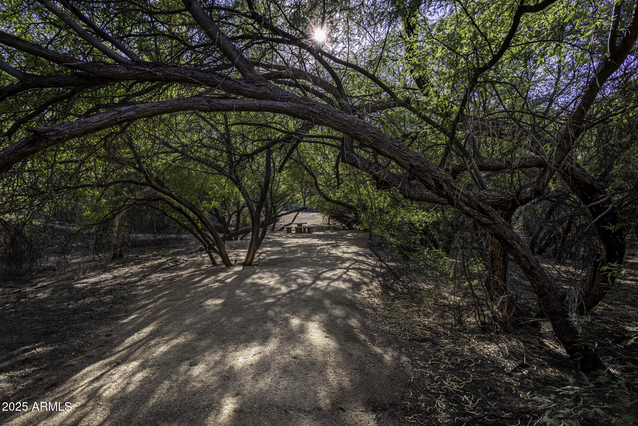 Lazy RC Ranch, Historic Brill Ranch on the Hassayampa River, Bordering the Nature Conservancy - Residential