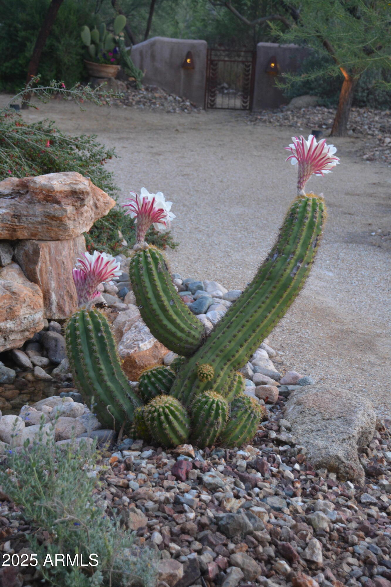 Lazy RC Ranch, Historic Brill Ranch on the Hassayampa River, Bordering the Nature Conservancy - Residential