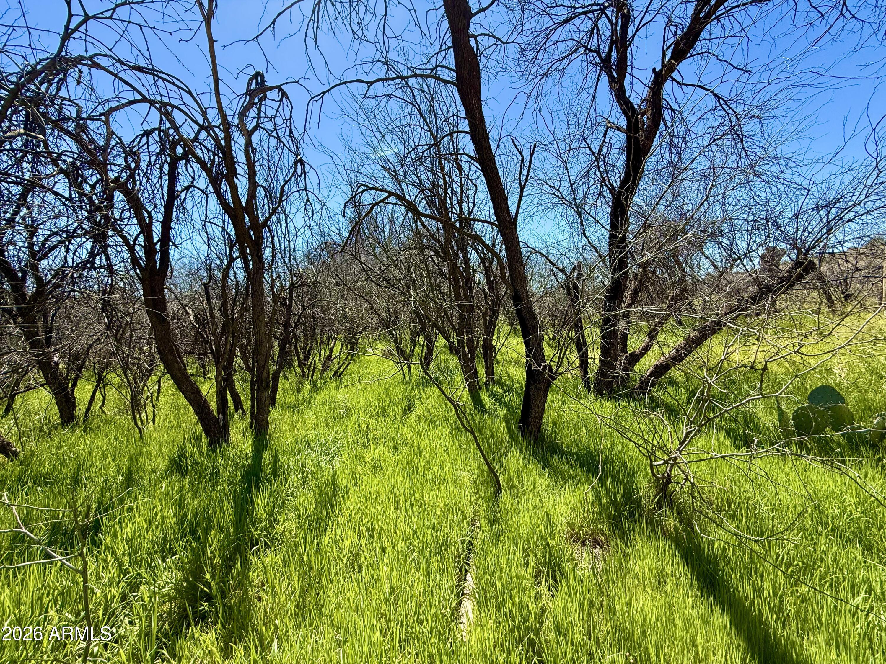 LAKE MONTEZUMA ESTATES UNIT 2 - Land