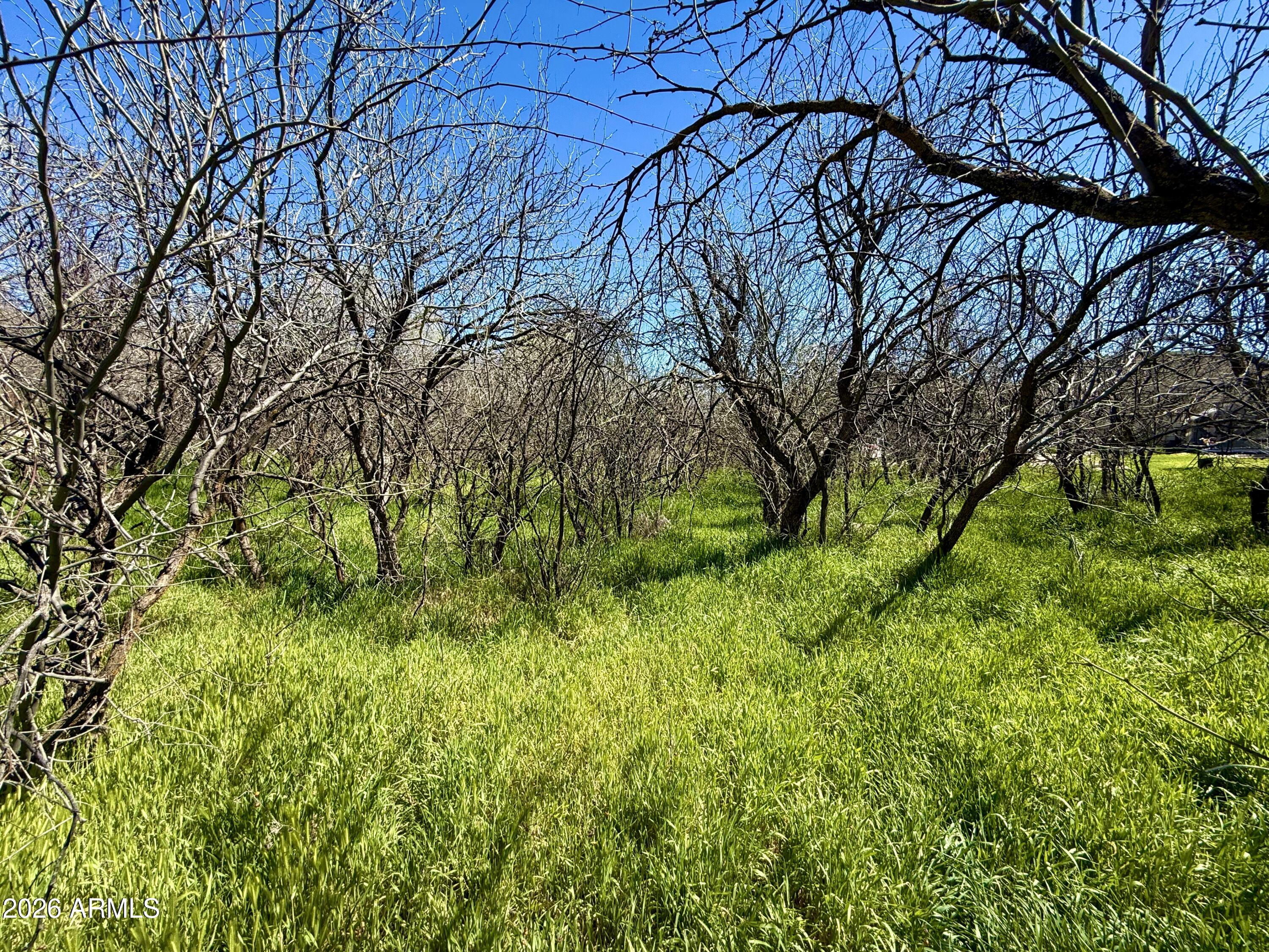 LAKE MONTEZUMA ESTATES UNIT 2 - Land