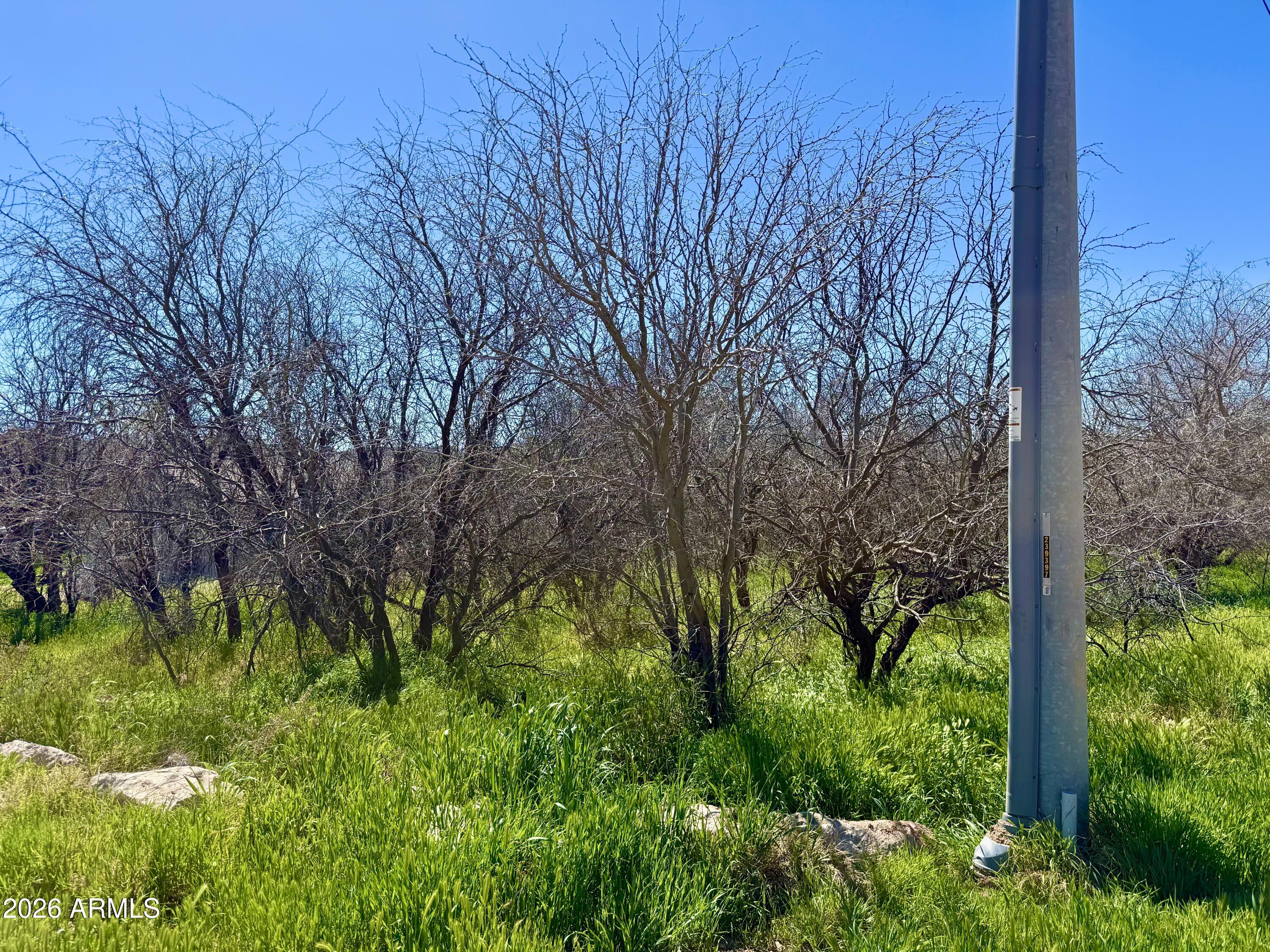 LAKE MONTEZUMA ESTATES UNIT 2 - Land