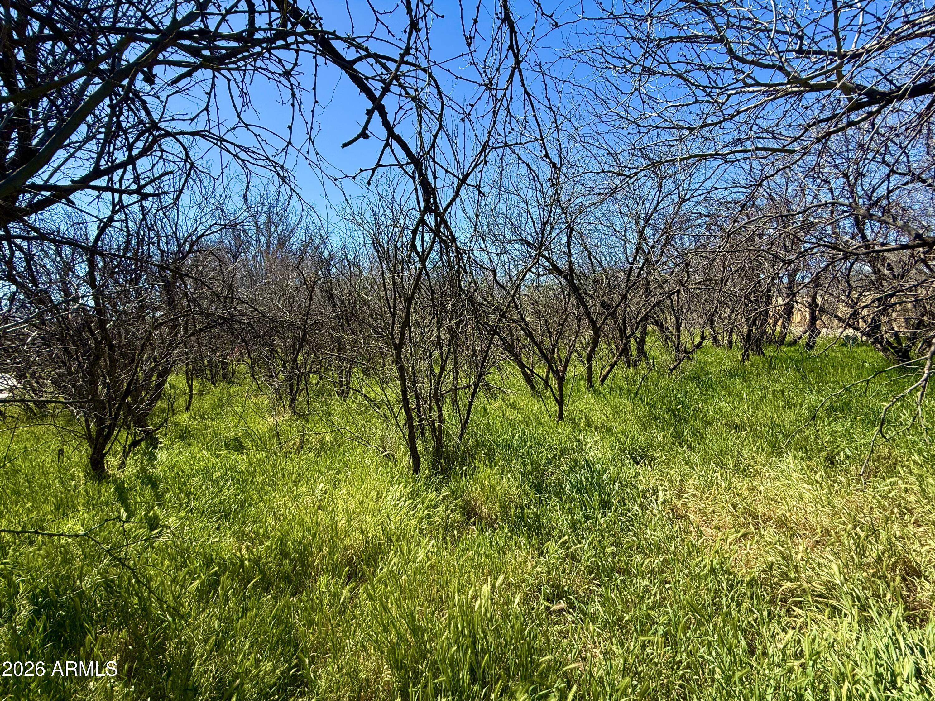 LAKE MONTEZUMA ESTATES UNIT 2 - Land