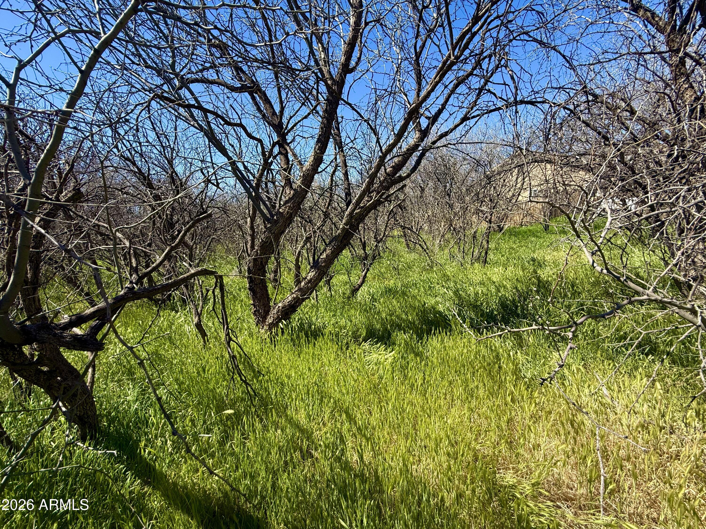 LAKE MONTEZUMA ESTATES UNIT 2 - Land