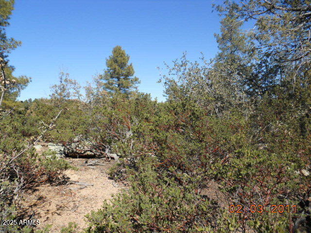 CHAPARRAL PINES PHASE 2 - Land