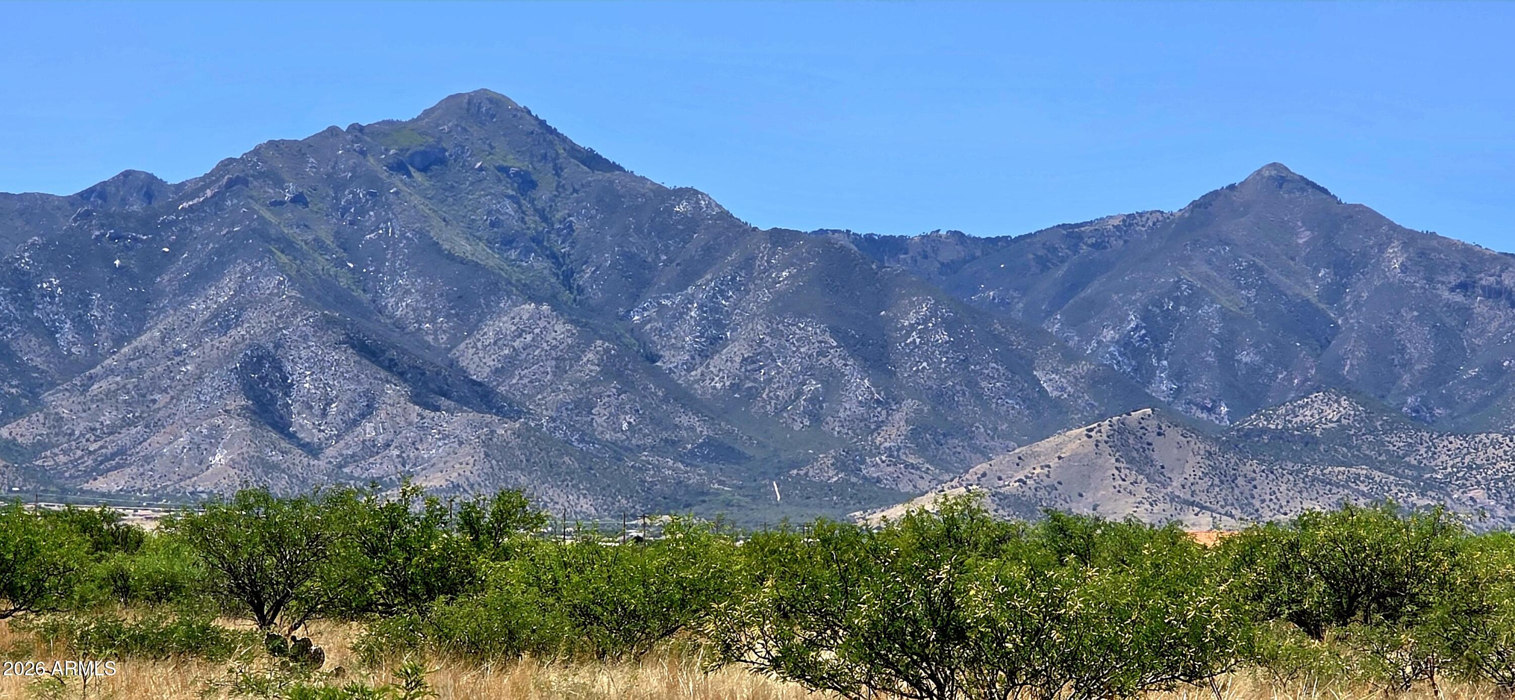 Over seven acres in the desirable subdivision of Three Canyons Ranch. The acreage is level and abounding with potential building sites. The sizable vegetation on the property create a natural privacy barrier. Enjoy the phenomenal mountain views from this property.!  Approximately a 30 minute drive from the essence of both Sierra Vista and Old Bisbee. Perfect for your site built home. Buyer to verify all facts and figures.