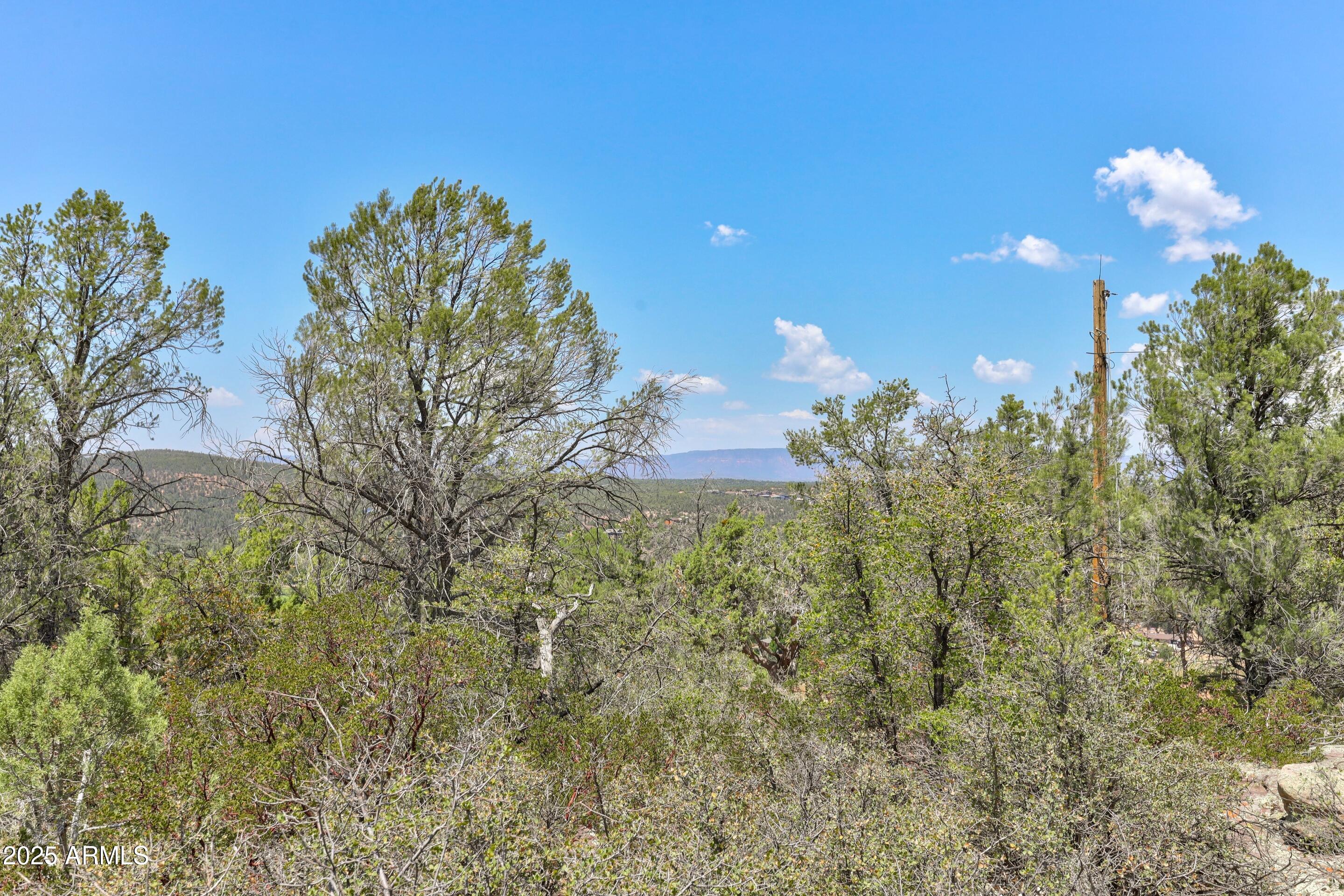 RODEO RANCHES PLAT 6 - Land