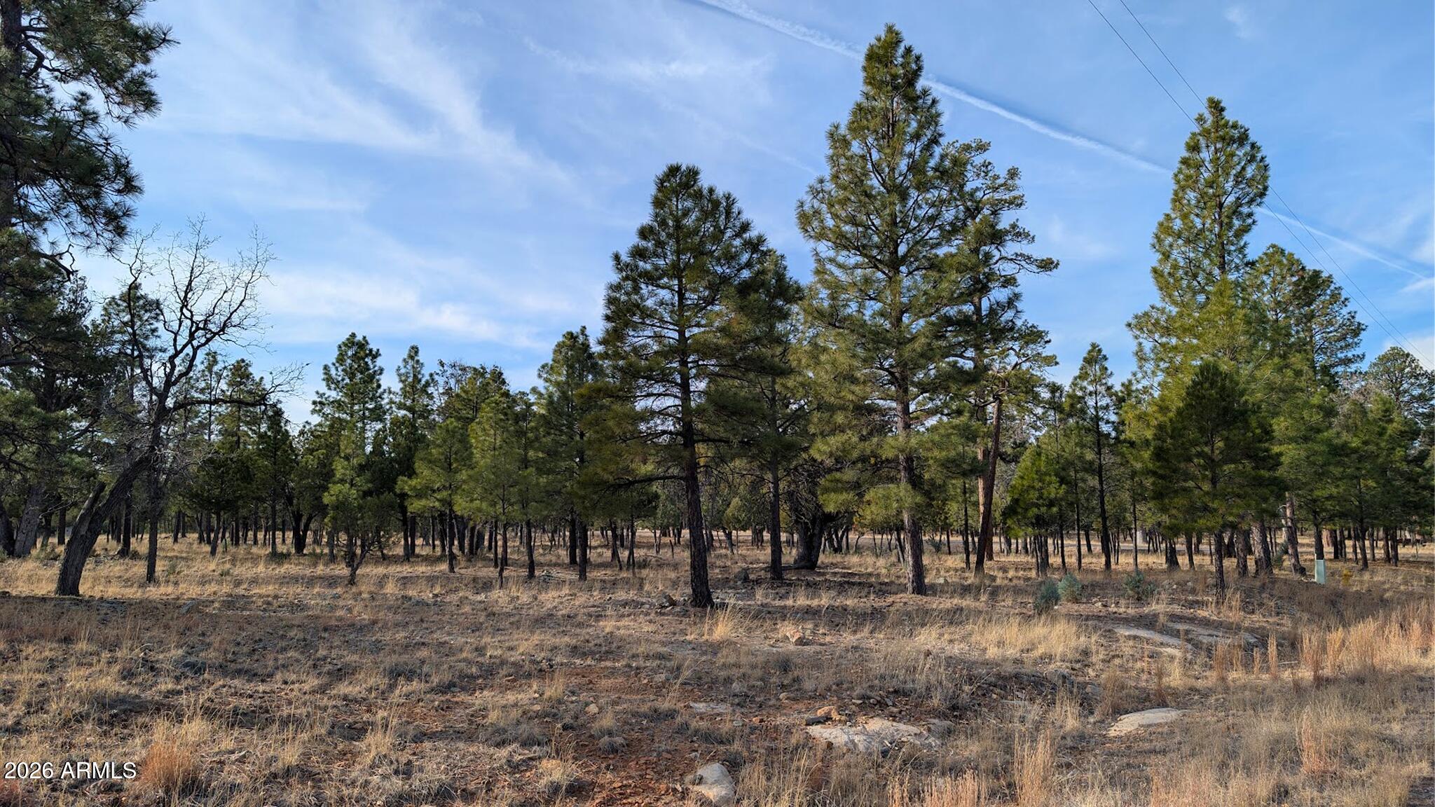 TAMARRON PINES PHASE 5 - Land