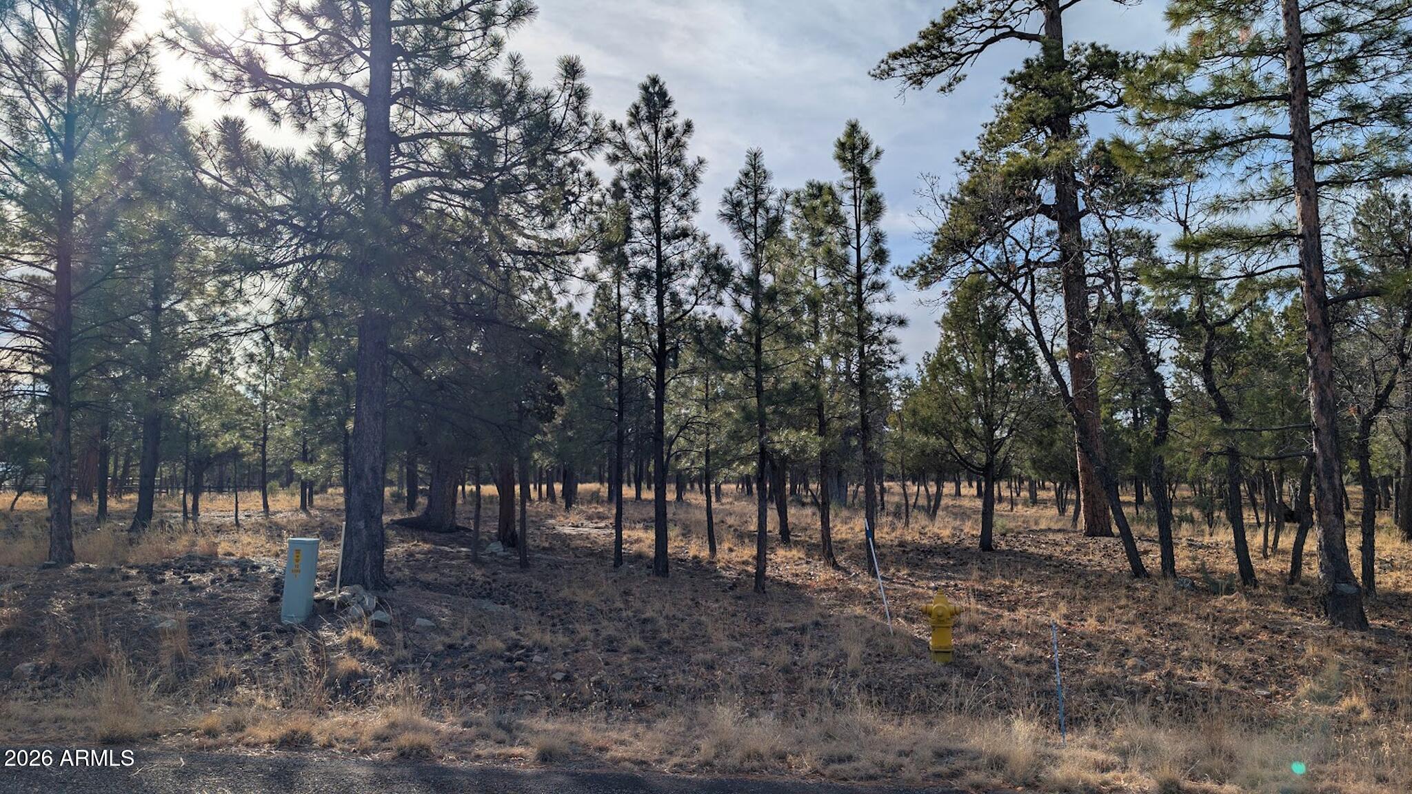 TAMARRON PINES PHASE 5 - Land