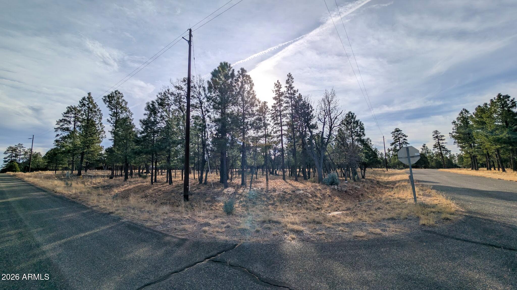 TAMARRON PINES PHASE 5 - Land