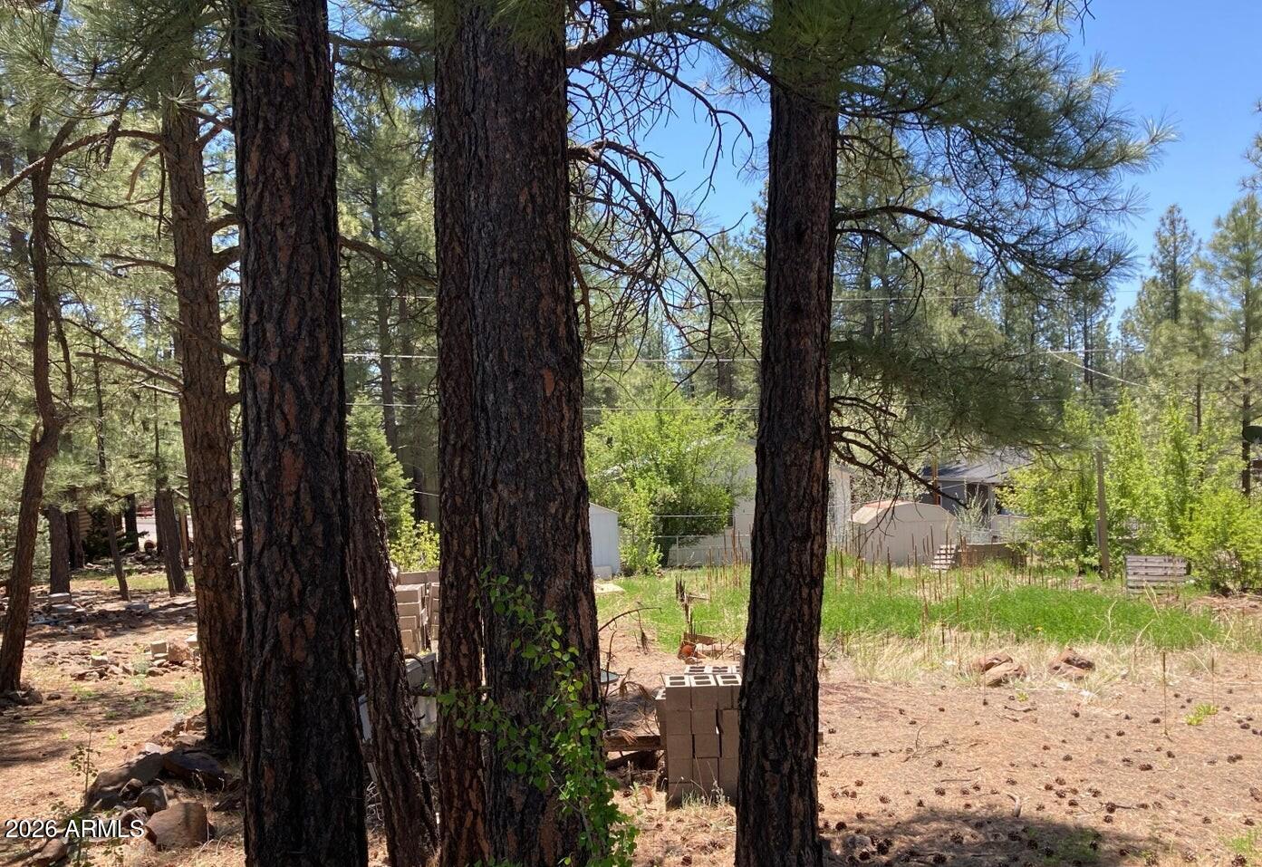 PINEWOOD 2 - Land