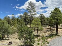 Beautiful treed lot in gated Summer Place North, the highest elevation in Heber.  Slightly under 1 acre, paved roads, located in a community of gorgeous cabins/homes.  Only 55 miles from Payson to enjoy cooler summers and fresh clean mountain air.  Seller has other lots for sale in Summer Place North Unit 3A.