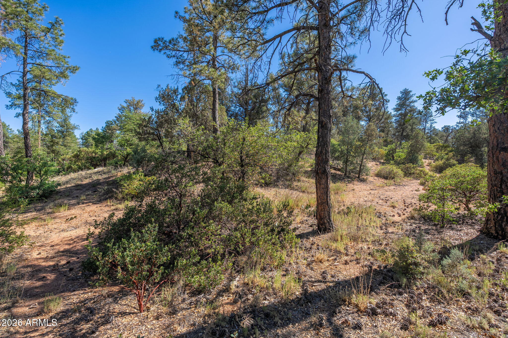 RIM GOLF CLUB PHASE 1 - Land