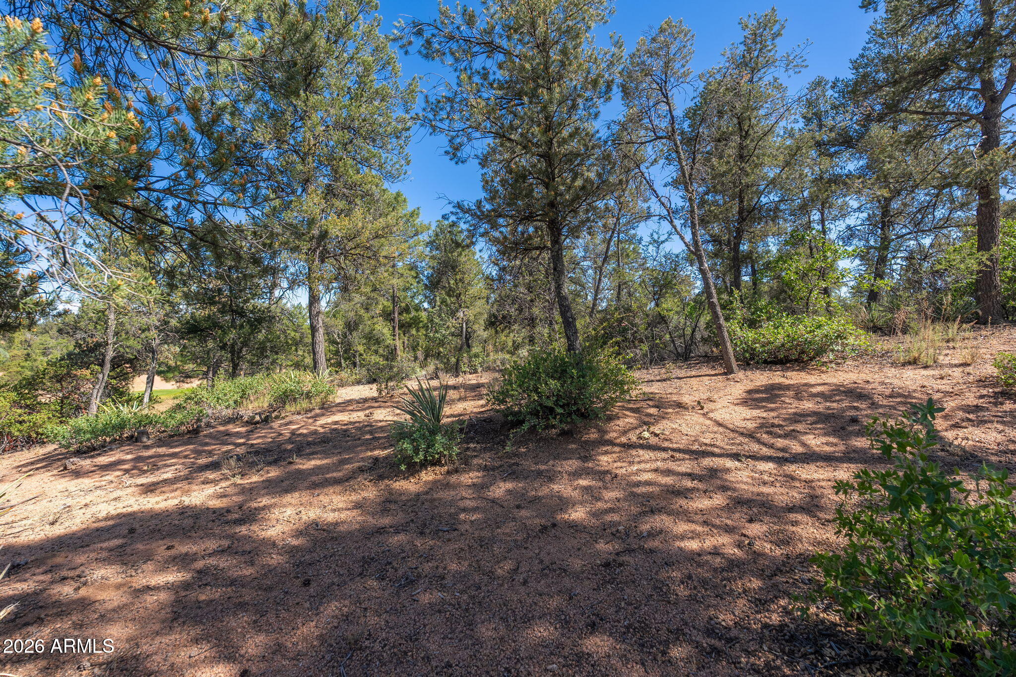 RIM GOLF CLUB PHASE 1 - Land