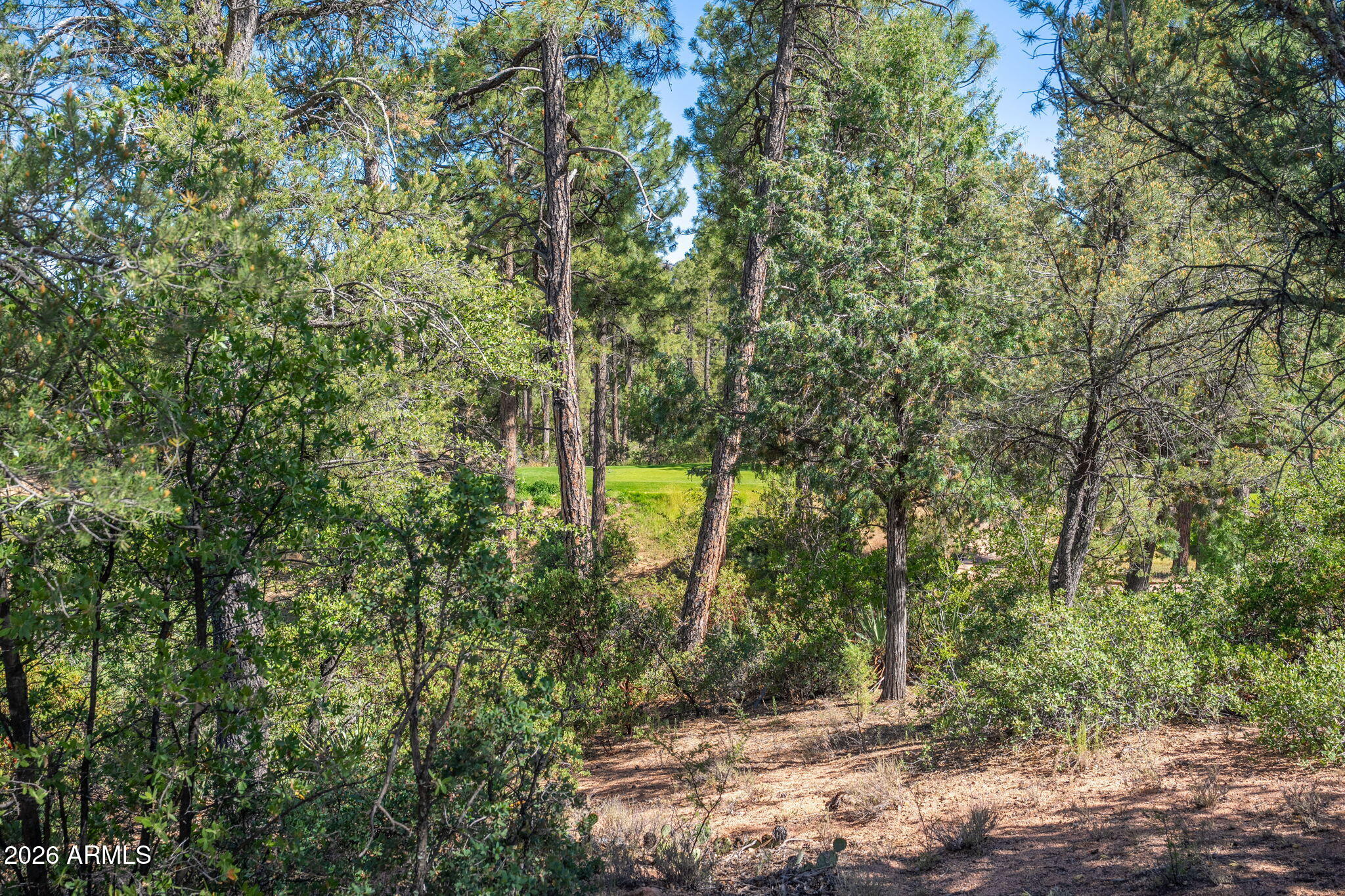 RIM GOLF CLUB PHASE 1 - Land