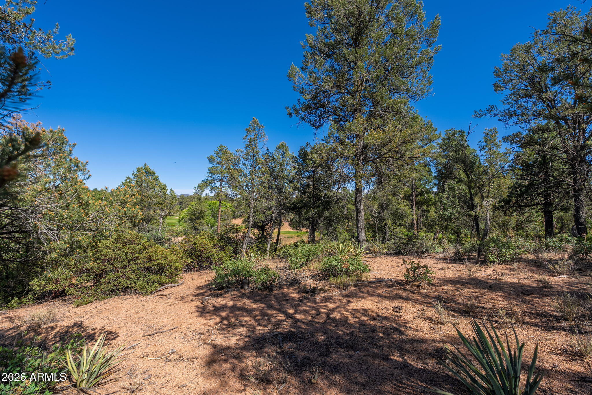 RIM GOLF CLUB PHASE 1 - Land
