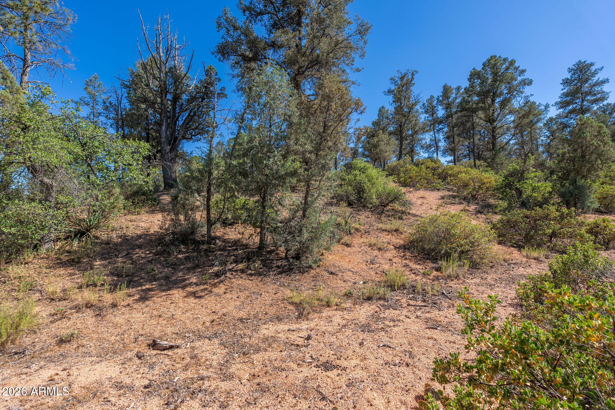 RIM GOLF CLUB PHASE 1 - Land