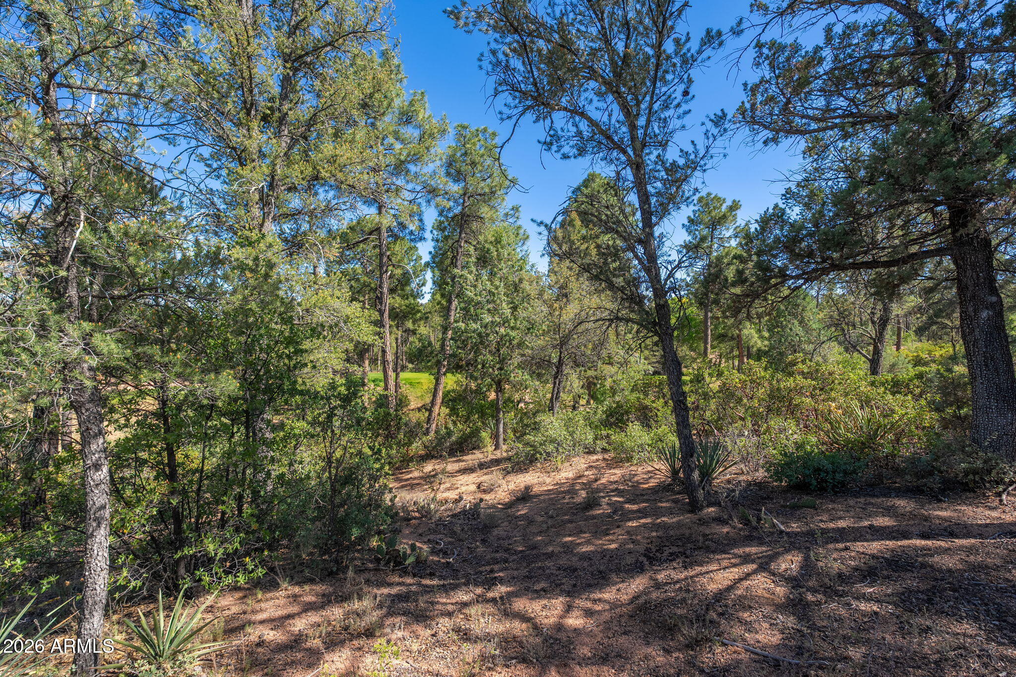 RIM GOLF CLUB PHASE 1 - Land