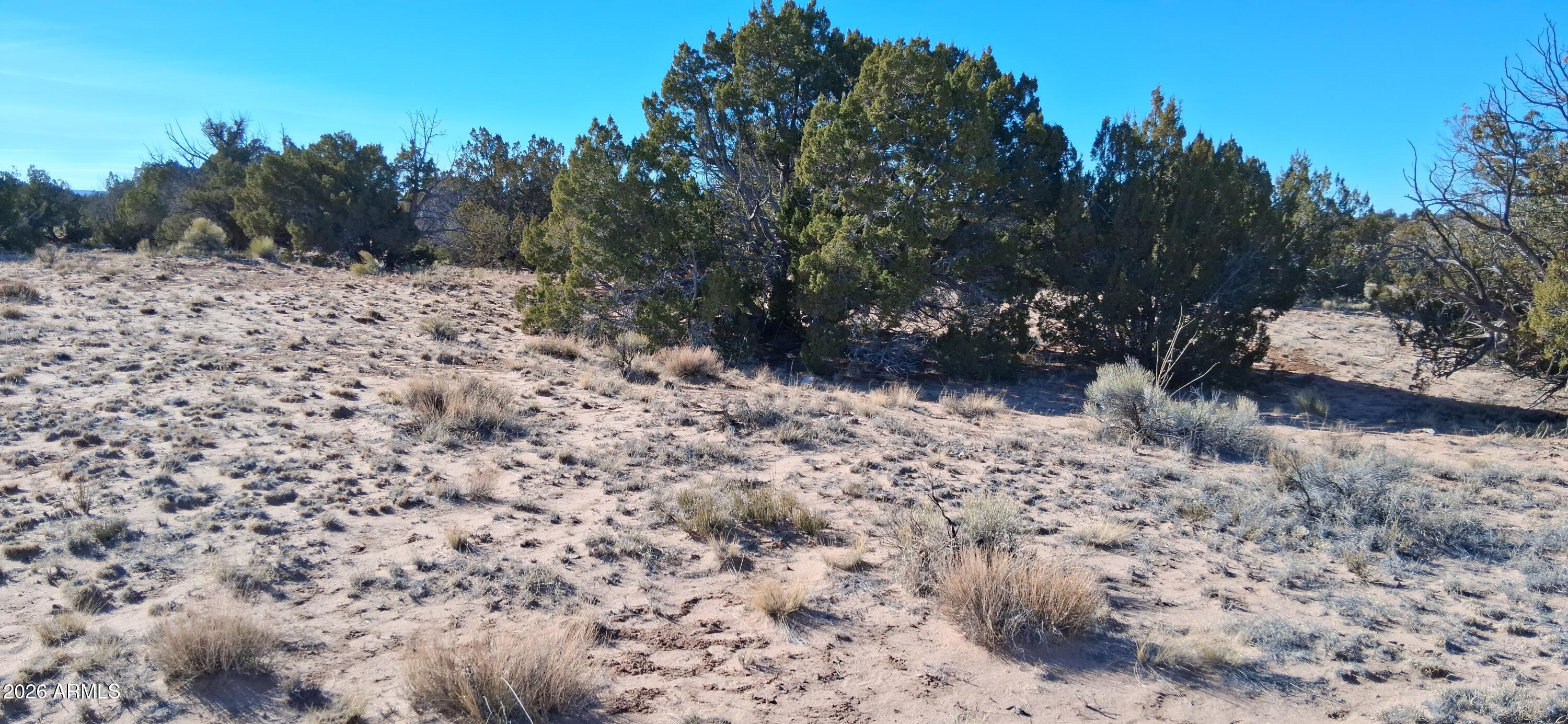 WOODLAND VALLEY RANCH UNIT 7 - Land