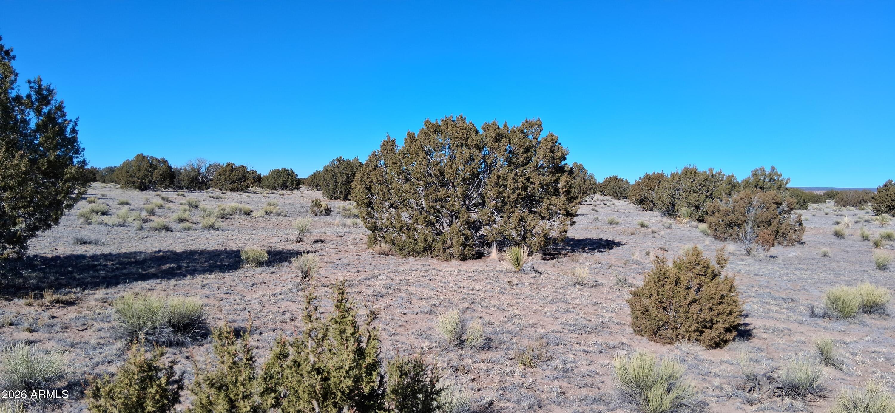 Beautiful 38-acre property ready for you to build your off-grid dream. Enjoy the privacy and watching the sunrise and sunset on this property with Incredible views. Situated within the Woodland Valley Ranch POA. There is a community well to draw water from. Seller is willing to consider a reasonable offer.