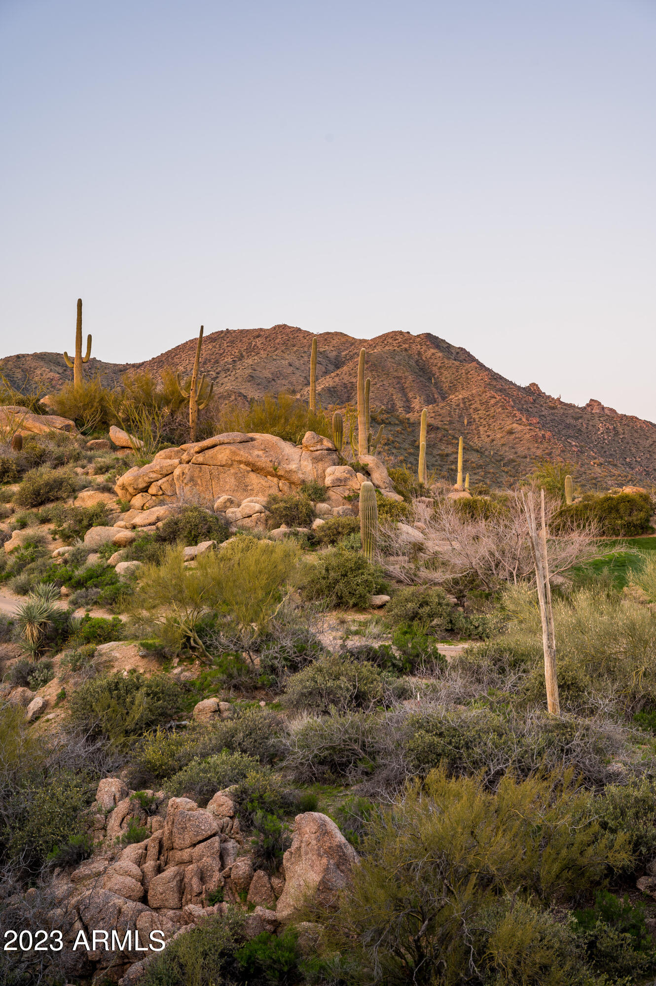 DESERT MOUNTAIN - Residential