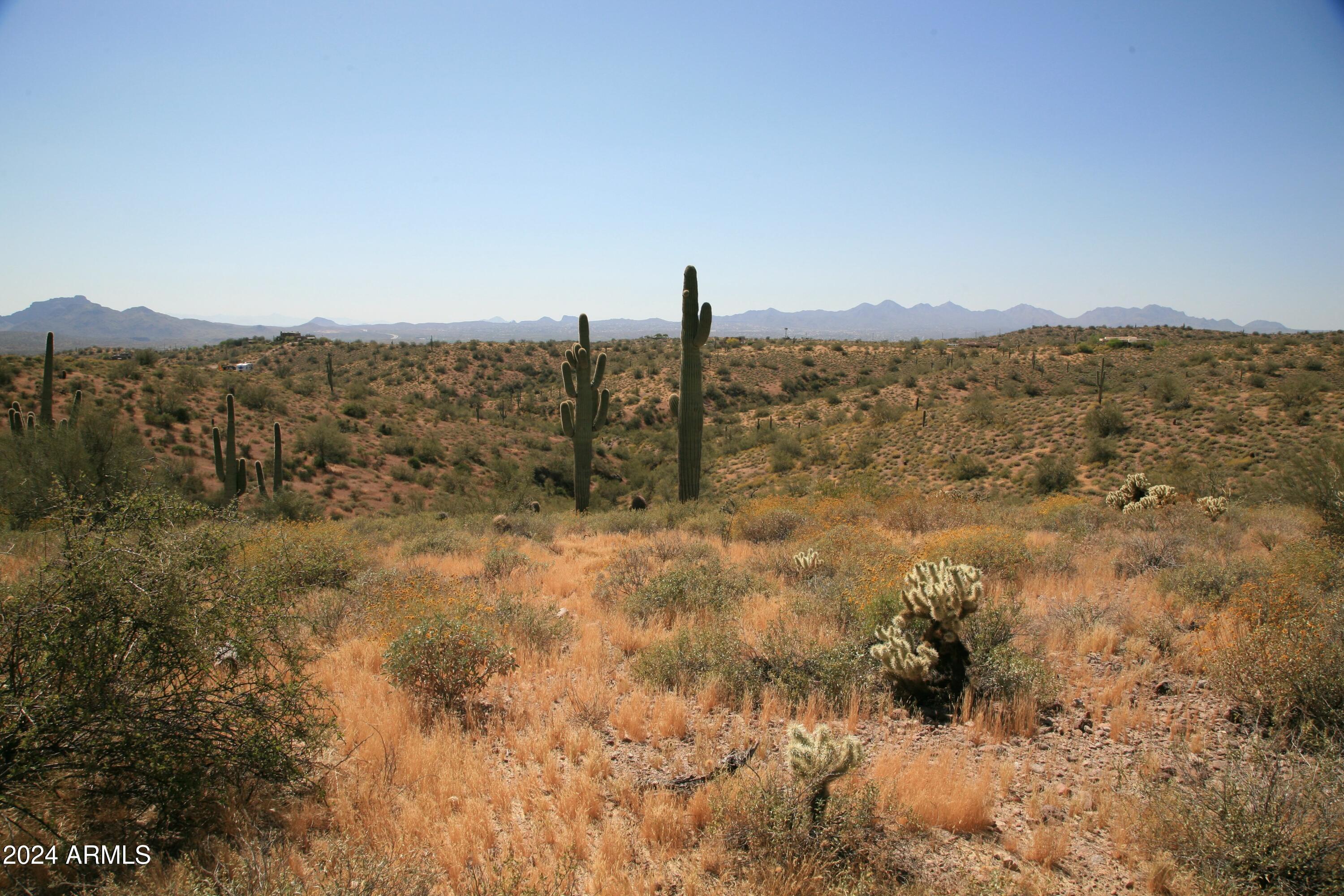 GOLDFIELD PHASE 1 (SURVEY) - Land