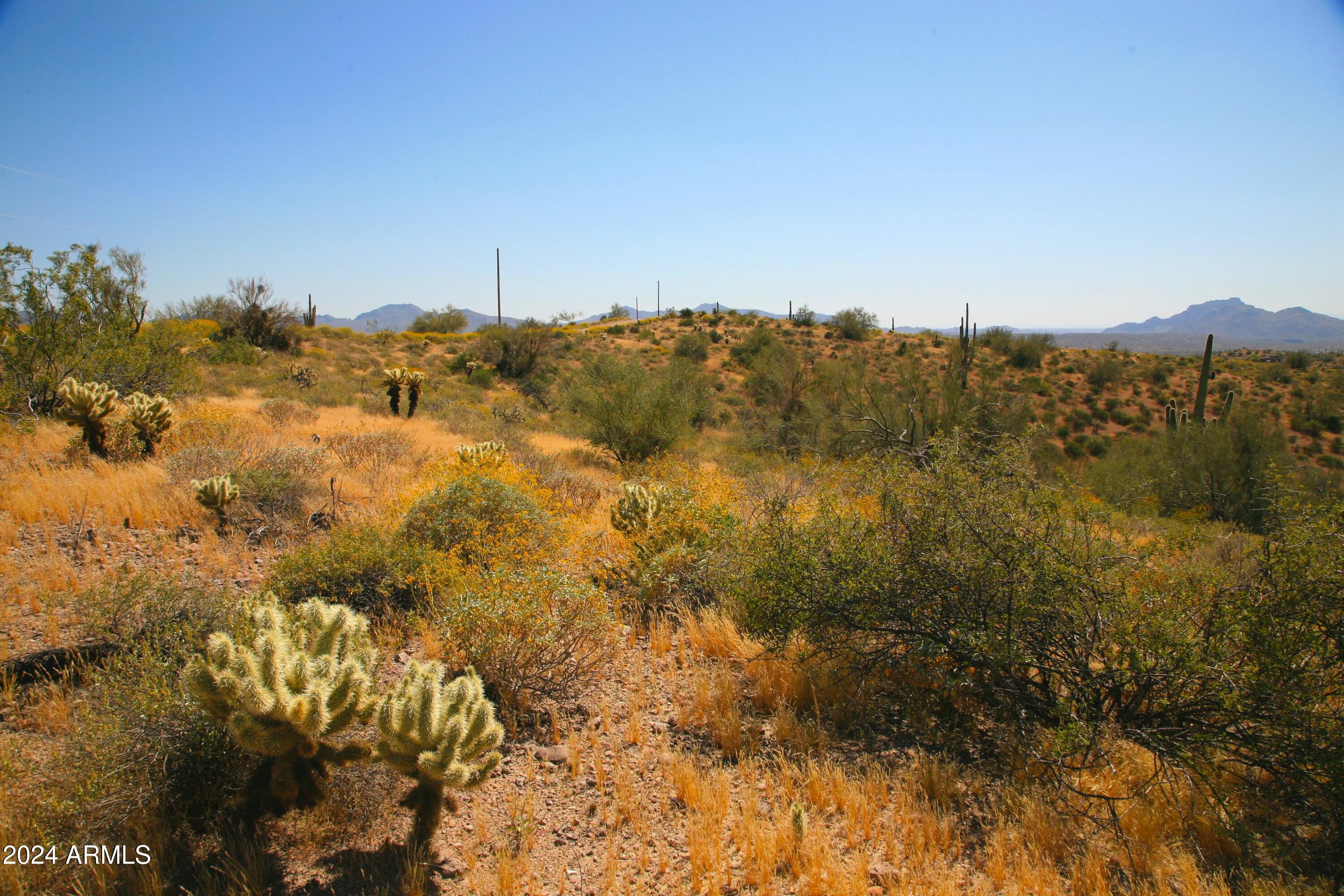 GOLDFIELD PHASE 1 (SURVEY) - Land
