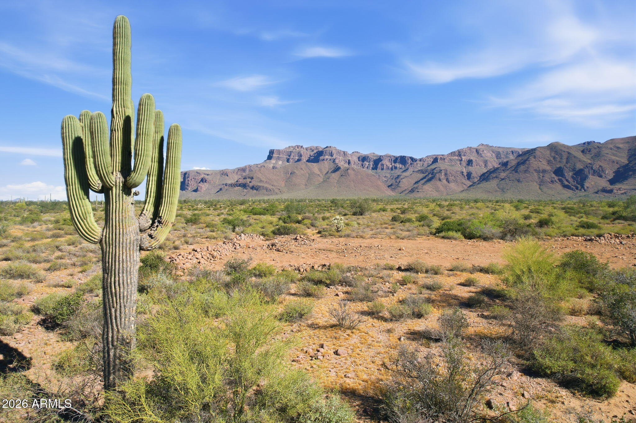 Improved 1.25 acre custom home site with no HOA is ready for new owners at the base of the Superstition Mountains. Property Borders AZ State Trust Land. Shared well, electric and improved road makes this parcel ideal for your new build. The majestic Superstition Mountain views that you will enjoy will enhance any lifestyle. Head out, straight from your back yard, to hiking and exploring the tranquil, wildlife filled desert. This area features award winning golf courses, key equestrian trails and is filled with the rich history of the American Southwest. Rare find in upscale and very desirable Gold Canyon, Arizona!