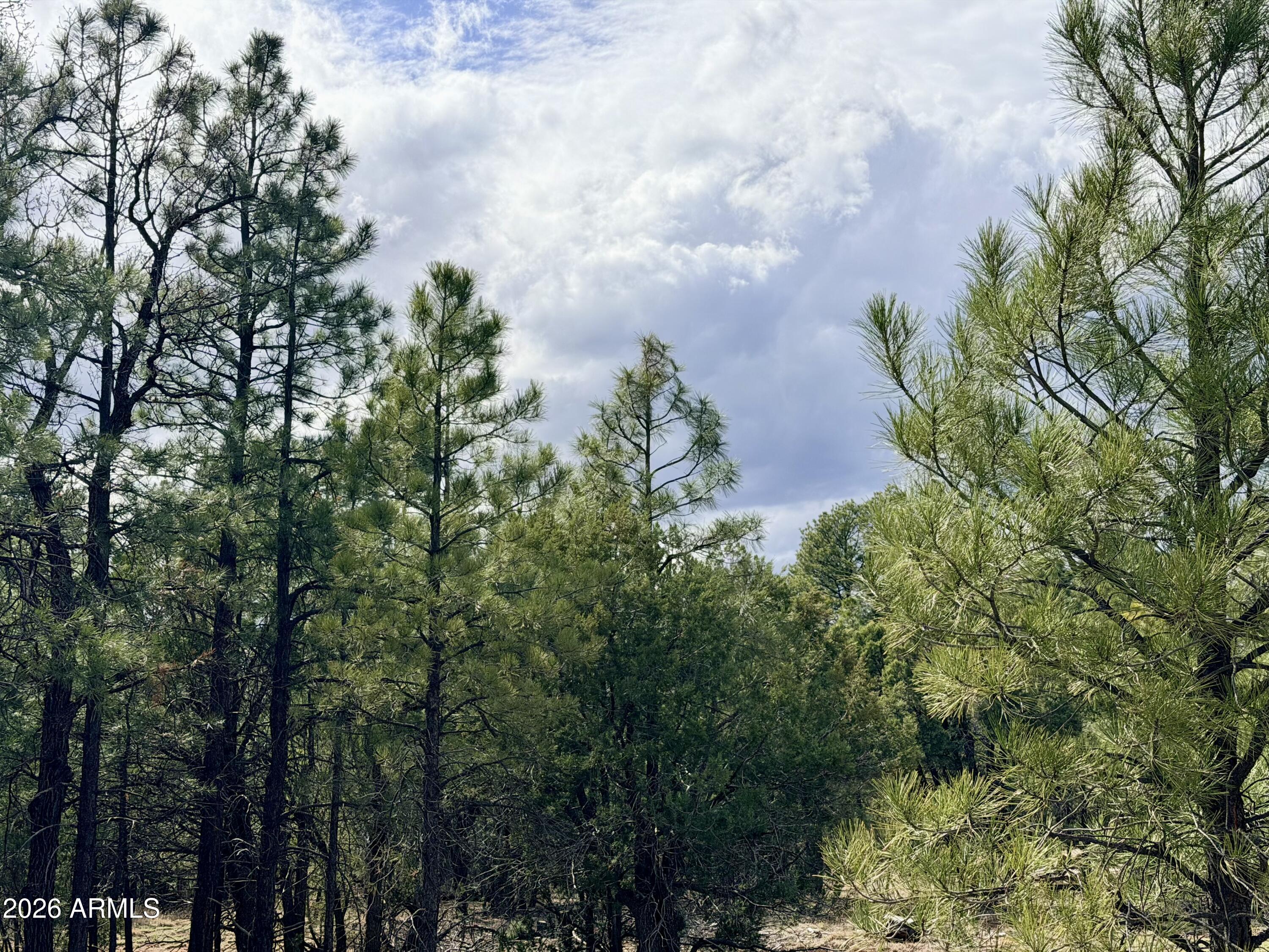 NON HOA 4 ACRE PARCEL.  Bring you RV, trailer, manufactured home or site built.  Property has 1/5 share of well and water will be run to property prior to COE.  It is rare to find a lot in this subdivision don't miss your chance to own. Seller also has an adjoining lot (Widgeon Way) also available.  Opportunity to own approx 8 acres with both or have family and friends purchase. Lot needs septic installed and electricity run on property. Back corner of property has an easement on it for the driveway to the home behind it (easement agreement attached with survey)
