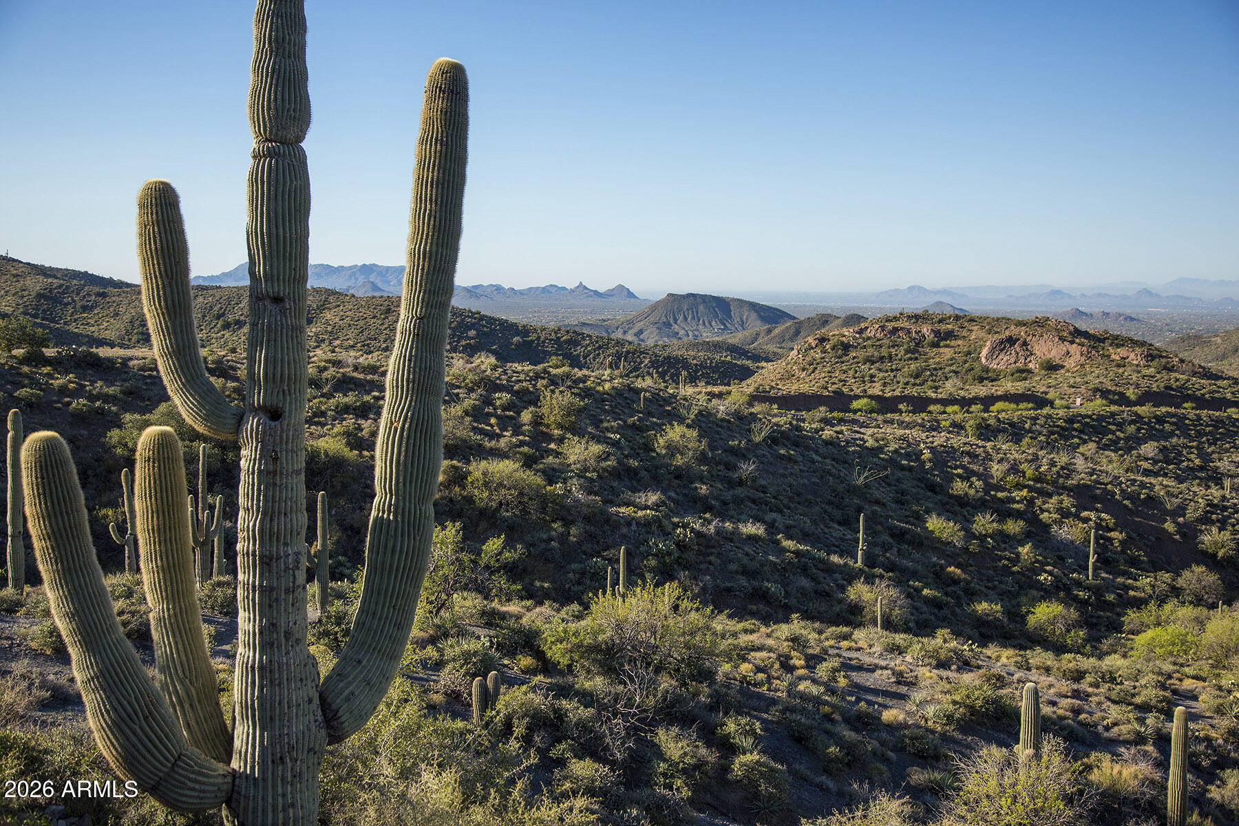 Desert Mountain - Residential