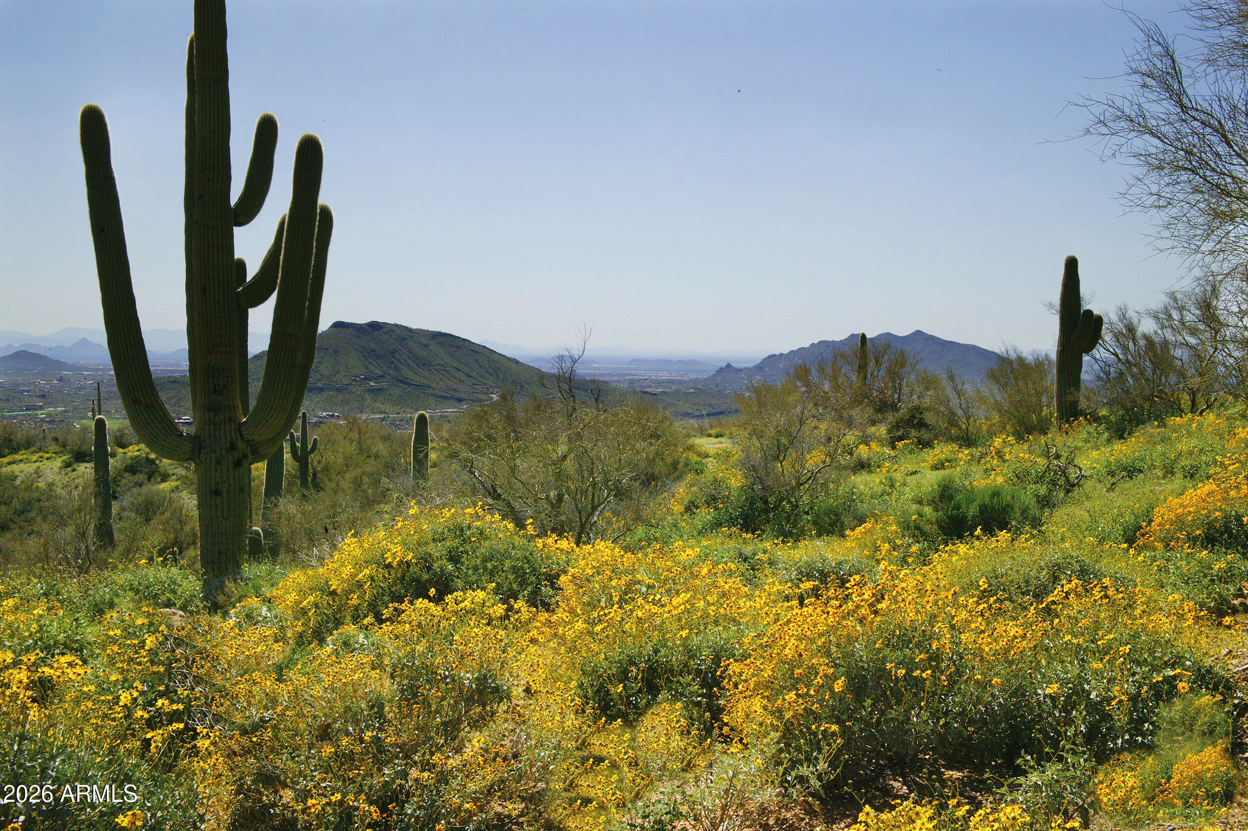 Desert Mountain - Residential