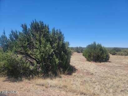 WHITE MOUNTAIN LAKES UNIT 1 - Land