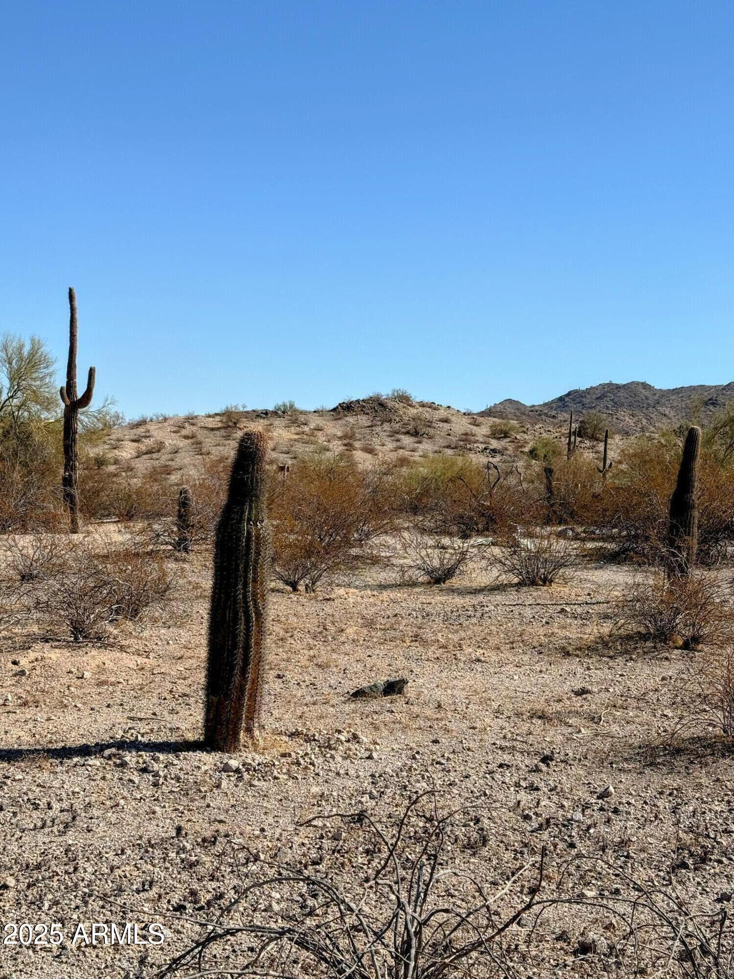 ESTRELLA PARCEL 8 - Land