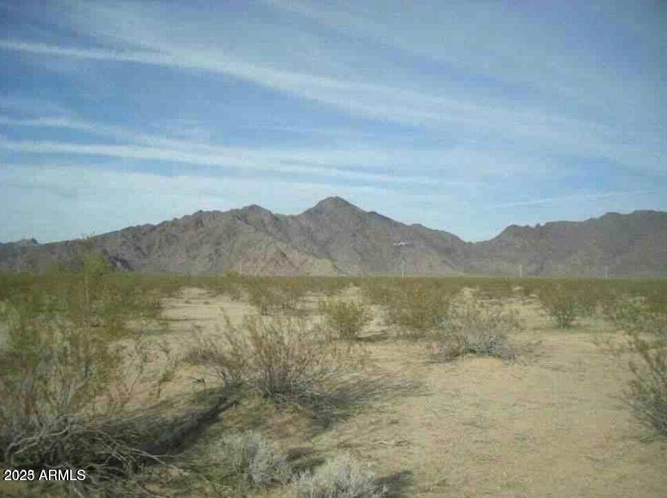 Prime 40-acre lot just northeast of Tartesso—one of Buckeye's top master-planned communities. Flat, buildable land with stunning White Tank Mountain views. Ideal for a custom estate or a small subdivision. Adjacent to Tartesso's parks, schools, and planned retail. Utilities nearby and easy access make this a rare opportunity for developers or dream-home seekers alike.