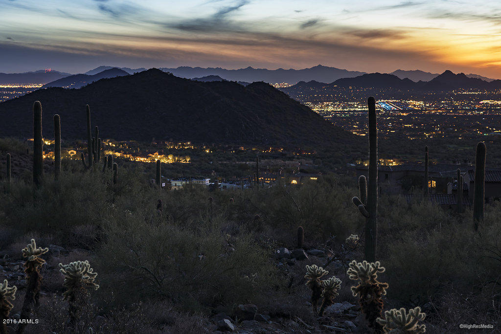 Silverleaf - Land