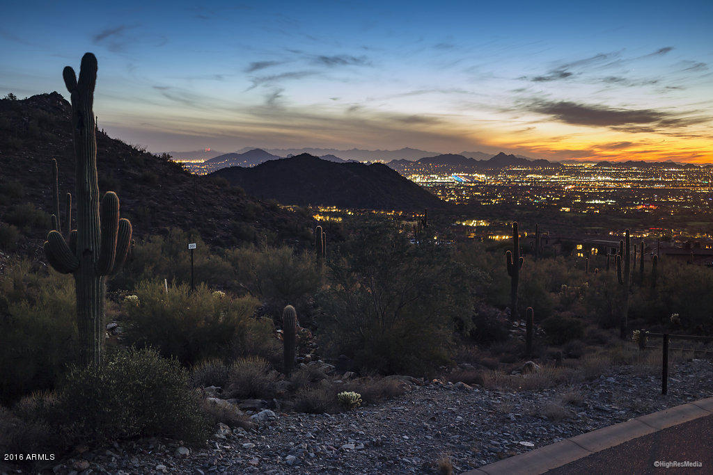 Silverleaf - Land