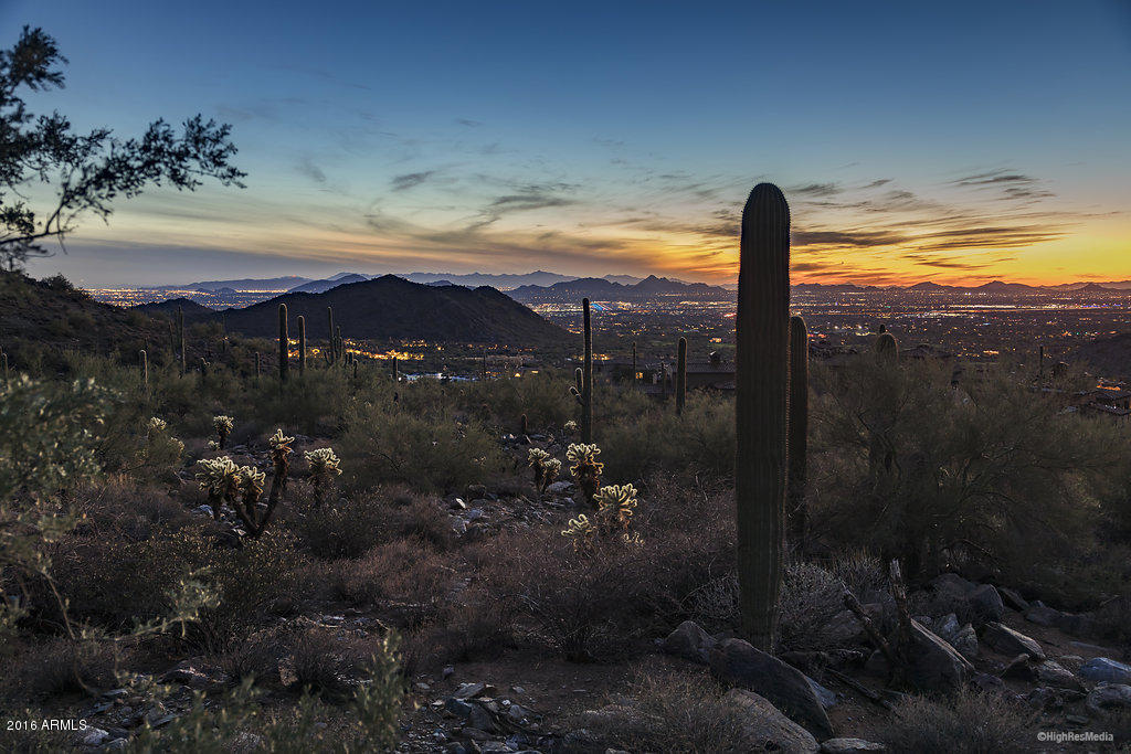 Silverleaf - Land