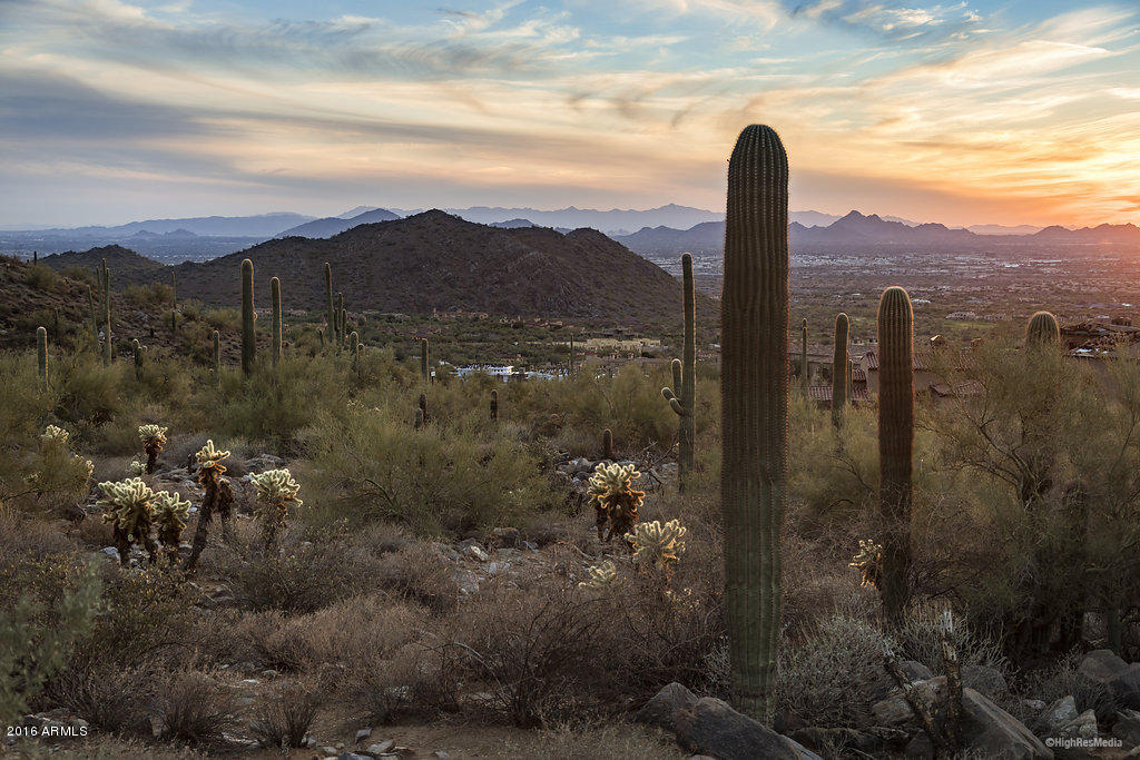 Silverleaf - Land