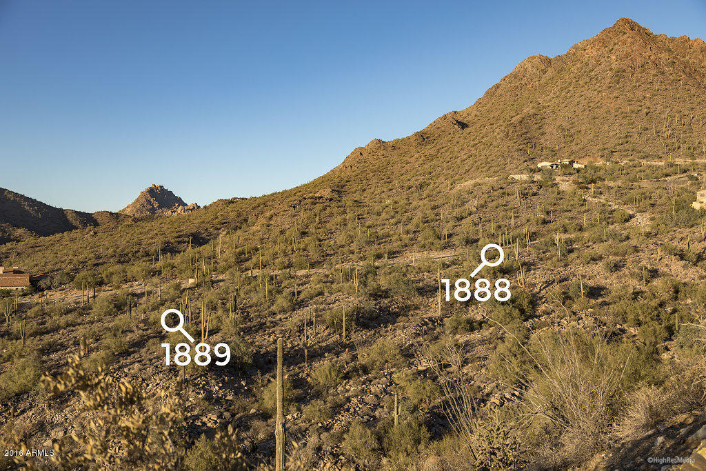 Silverleaf - Land