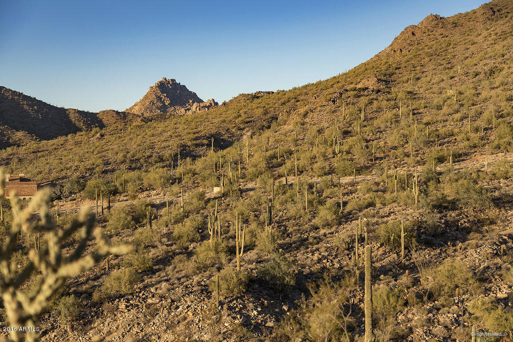 Silverleaf - Land