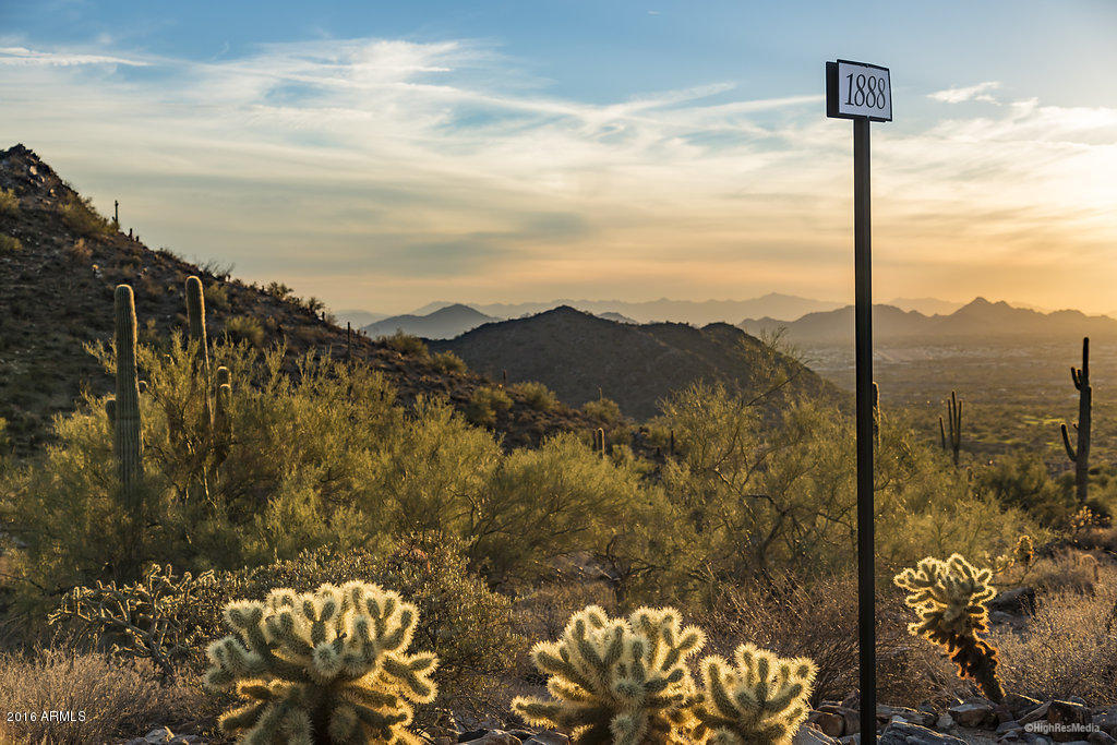 Silverleaf - Land