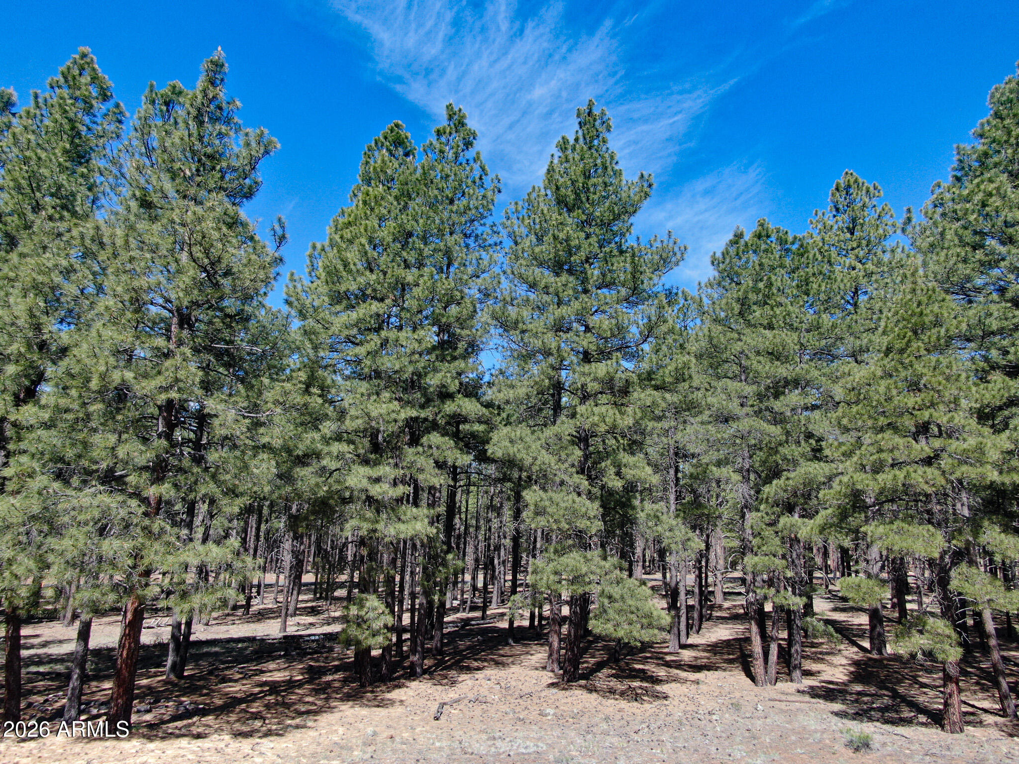 RANCH AT THE PEAKS PHASE 3 - Land